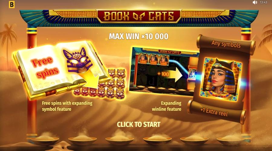 Book of Cats slot features